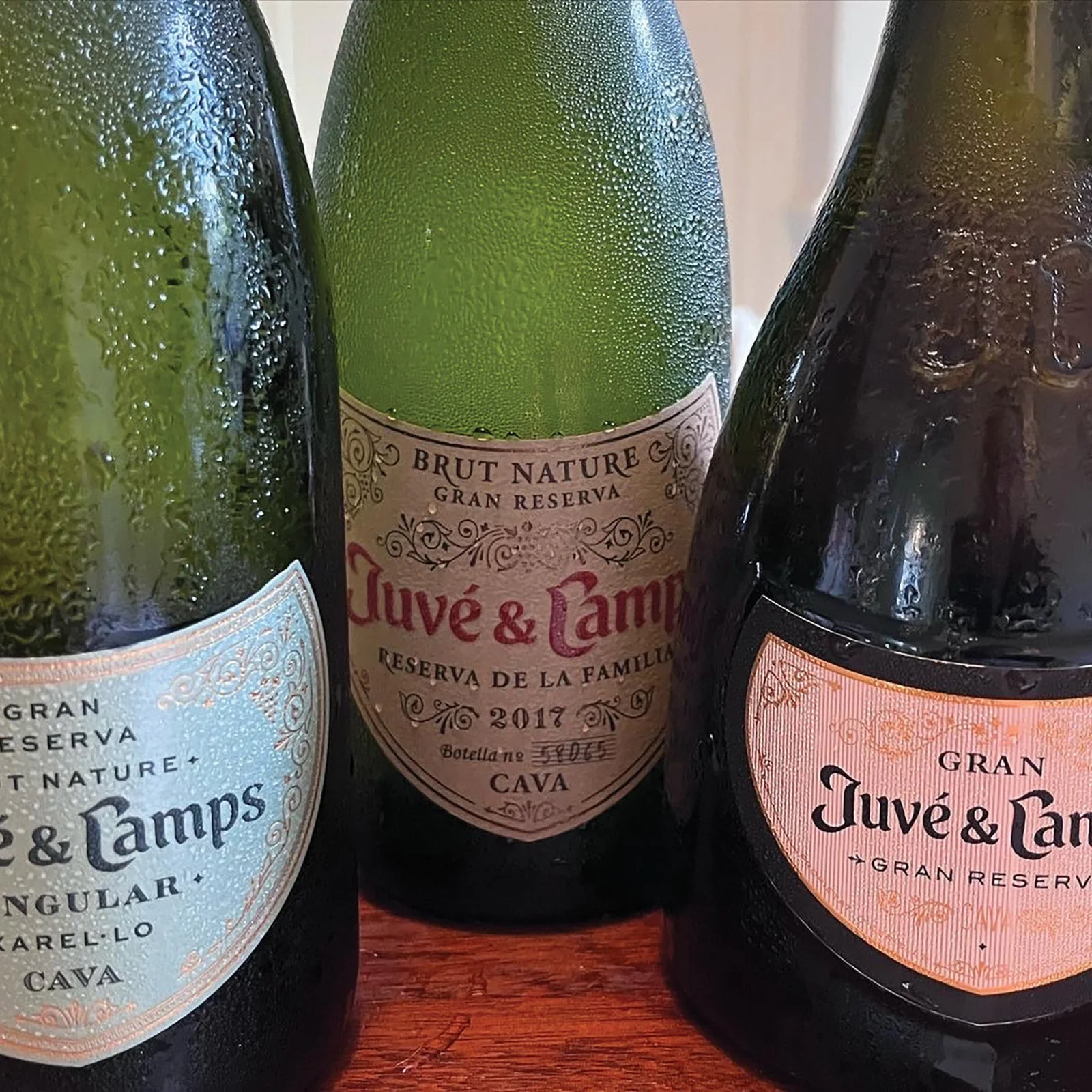 Fizz+Fish+and+Fire+Roger+Jones+6