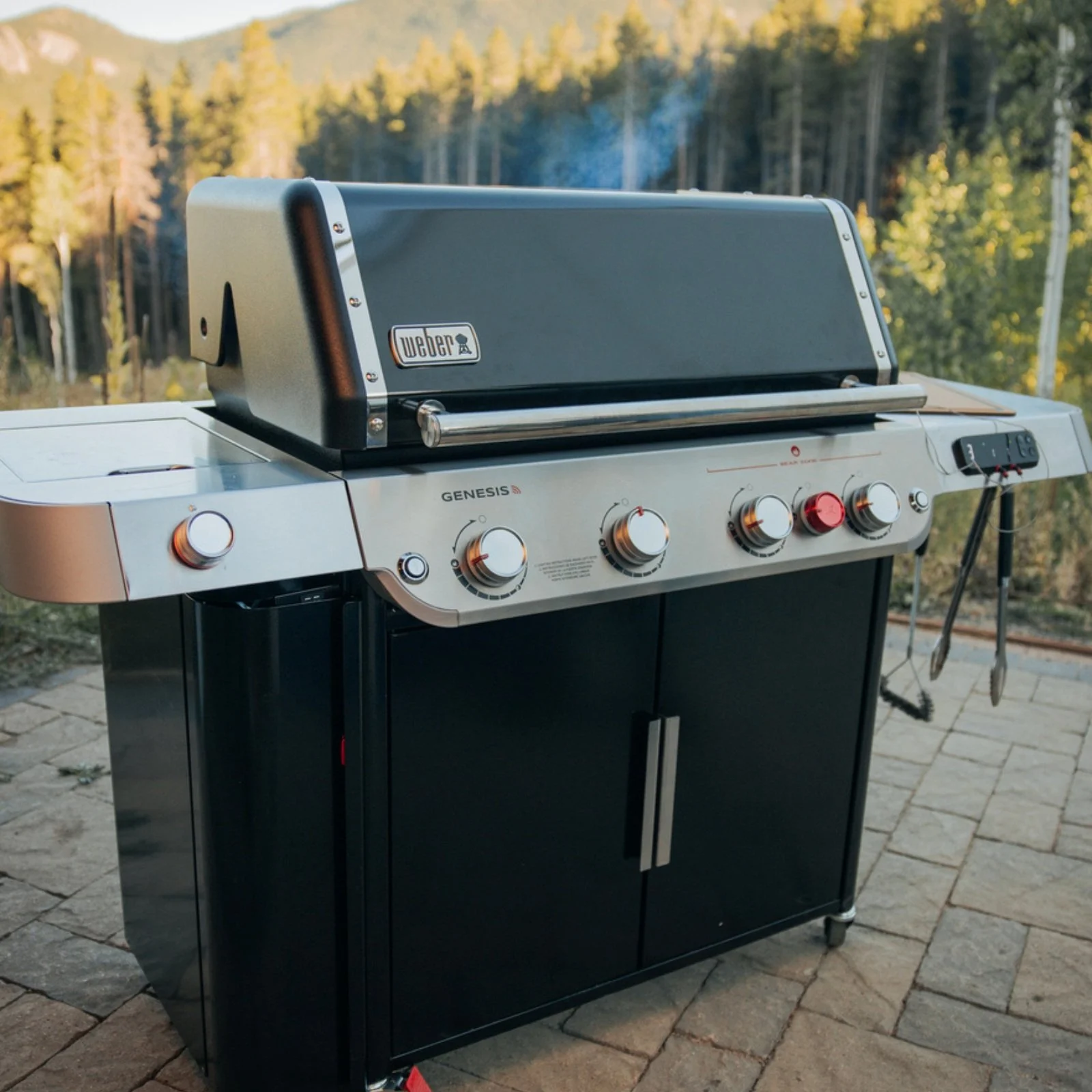 Weber+Genesis+EPX470+2023