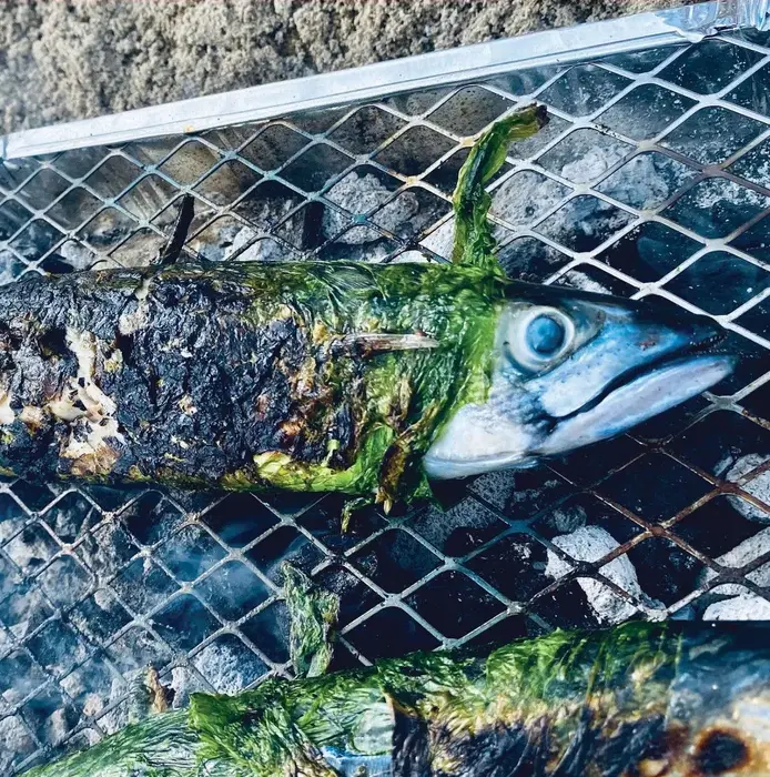 BBQ+Recipe-+BBQ+mackerel+with+sea+lettuce+2