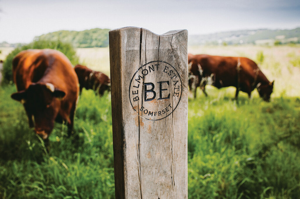 The great outdoors offers many opportunities to host BBQ events, with estates and farms lighting up rural England. ISABELLE GRAY finds acres of space