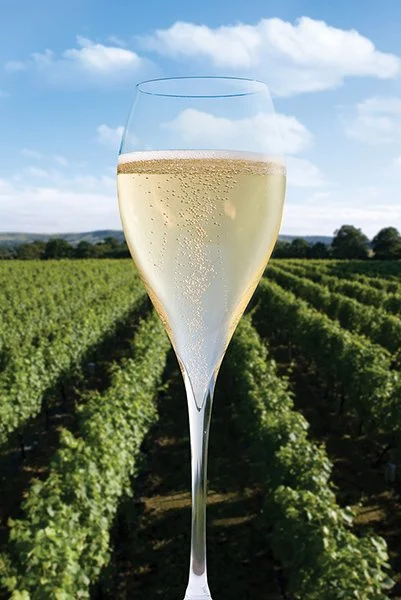 An English vineyard is taking its food outdoors to pair with its award-winning wines. RUPERT BATES heads to Ridgeview in Sussex.