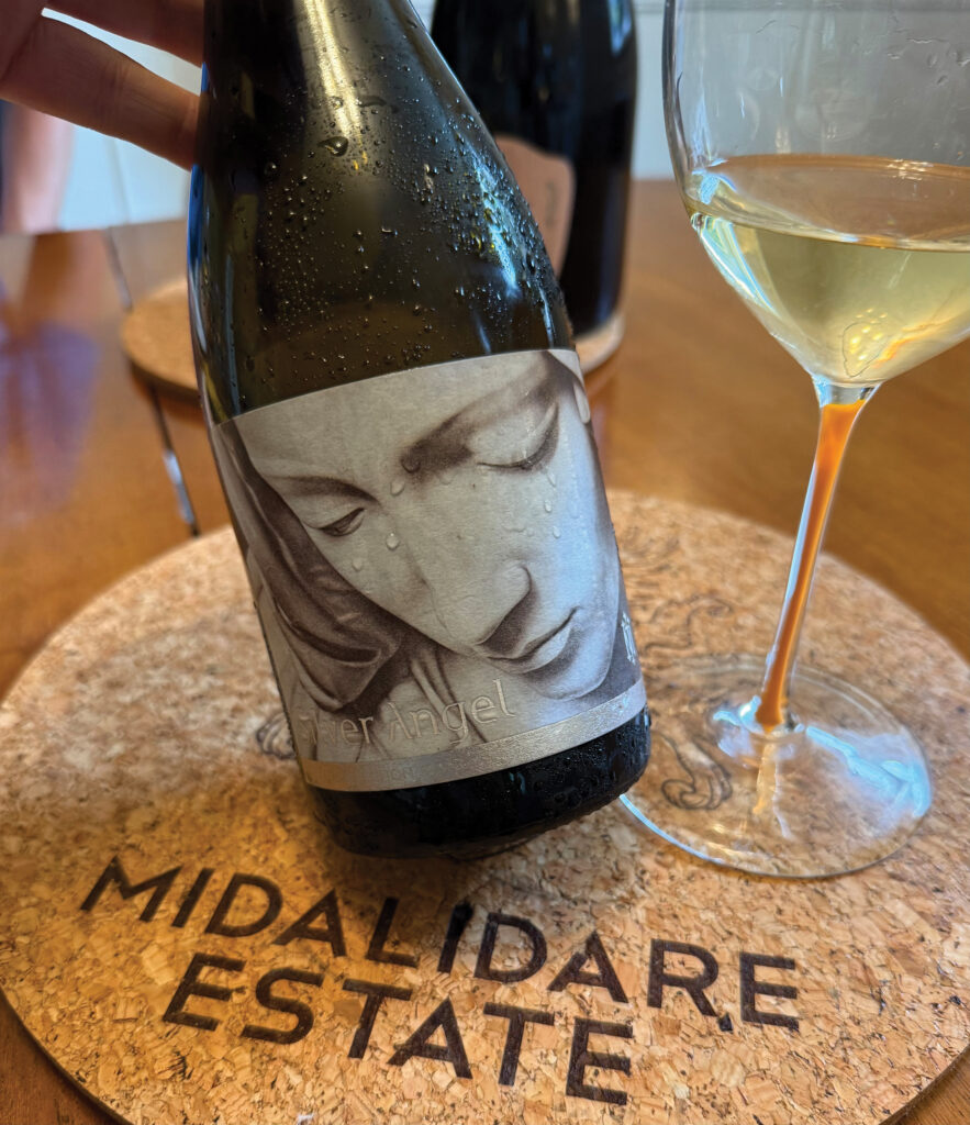 With Greece, Turkey and Georgia growing their wine distribution in the UK, I have been looking further afield in Eastern Europe, with Bulgaria in particular starting to make inroads, vastly different from the ‘cheap plonk’ sourced from the country in the 1990s.