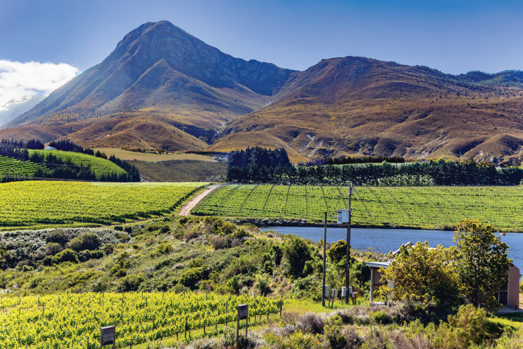 South Africa’s wine industry has evolved significantly over the past decade. While the country remains well known for established styles such as Chenin Blanc, Pinotage and Cap Classic, it has also made notable strides in several other categories.