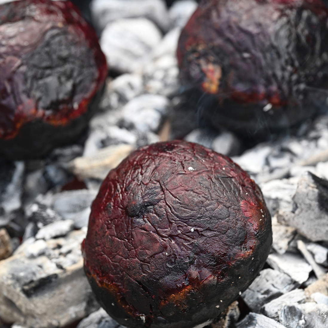 Beetroot and goats cheese